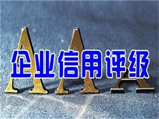 东营3A信用认证怎么办理，3A认证信需要什么材料(图2)